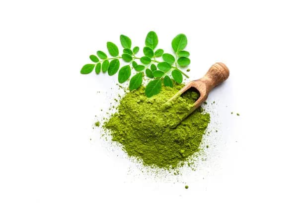 Moringa Powder